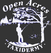 Open Acres Taxidermy