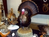 Eastern Tom Turkey