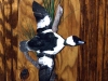 Bufflehead Duck